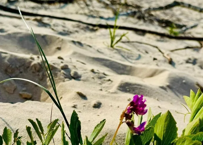 Gemuetliches An Der Ostsee - Haus Nr- 2 By Interhome Дом отдыха *